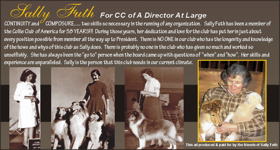 Sally Futh for CC of A Director At Large