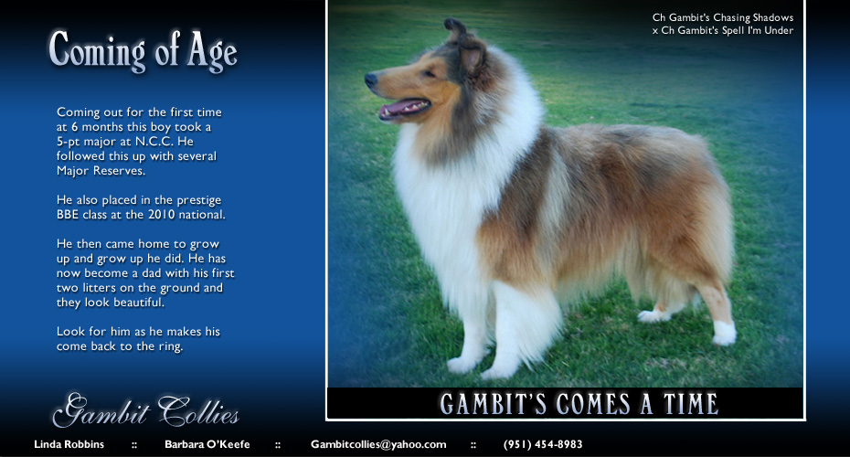 Gambit Collies -- Gambit's Comes A Time