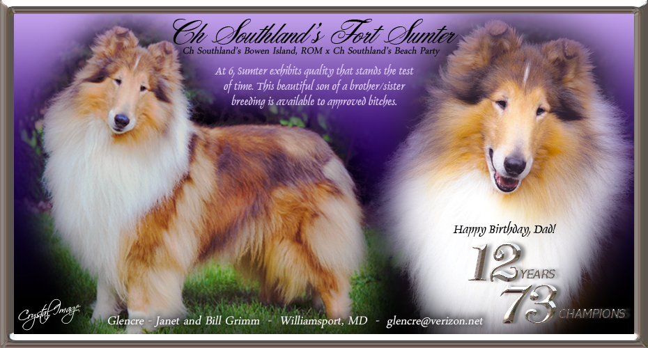 Glencre Collies -- CH Southland's Fort Sumter