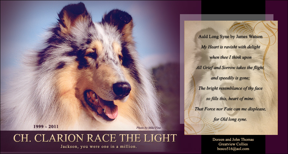 Greatview Collies -- In loving memory of CH Clarion Race The Light
