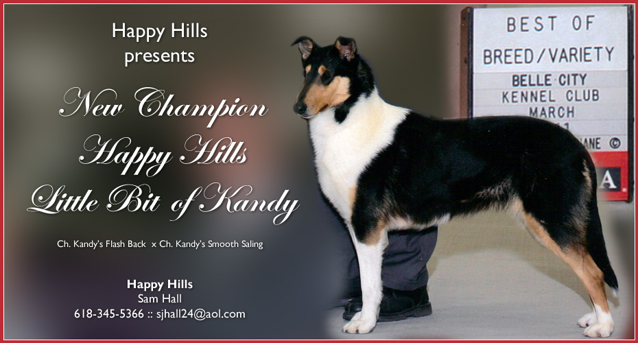 Happy Hills -- CH Happy Hills Little Bit of Kandy