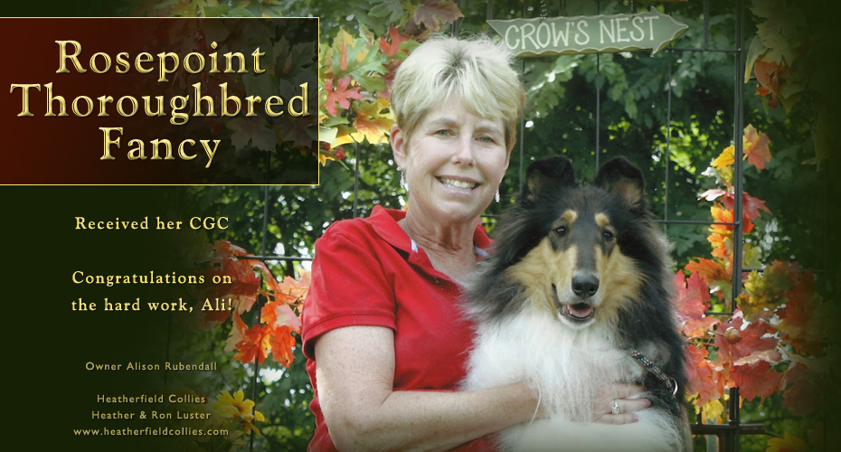 Heatherfield Collies -- Congratulations to Alison Rubendall and Rosepoint Thoroughbred Fancy