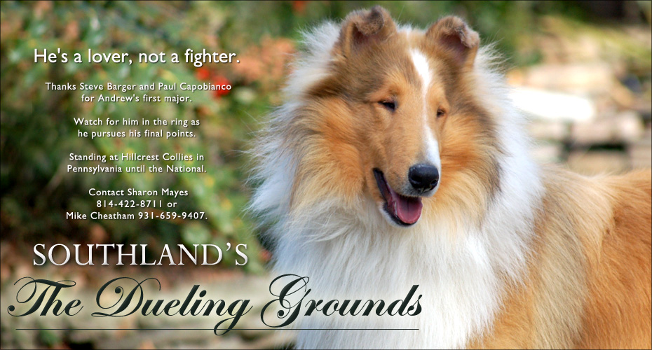 Hillcrest Collies / Southland Collies -- Southland's The Dueling Grounds