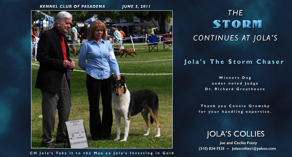 Jola's Collies -- Jola's The Storm Chaser