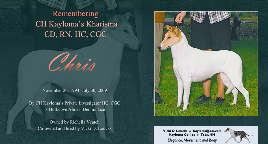 Kayloma Collies -- In Loving Memory of CH Kayloma's Kharisma CD, RN, HC, CGC