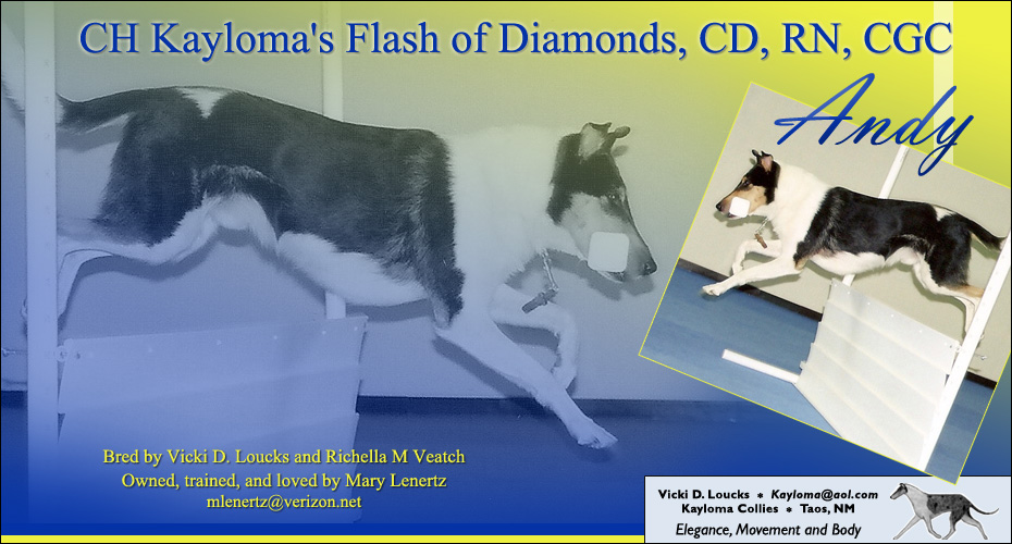 Mary Lenertz -- CH Kayloma's Flash of Diamonds, CD, RN, CGC