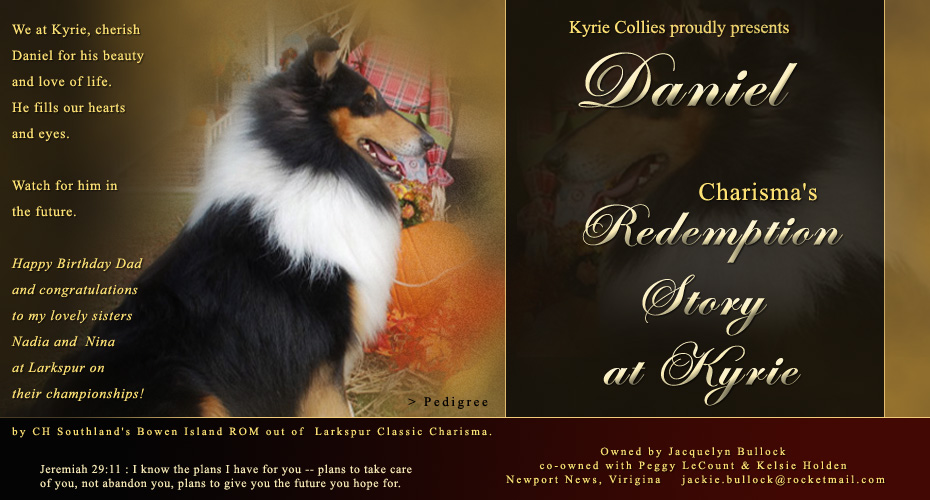 Kyrie Collies / Charisma Collies  -- Charisma's Redempion Story At Kyrie
