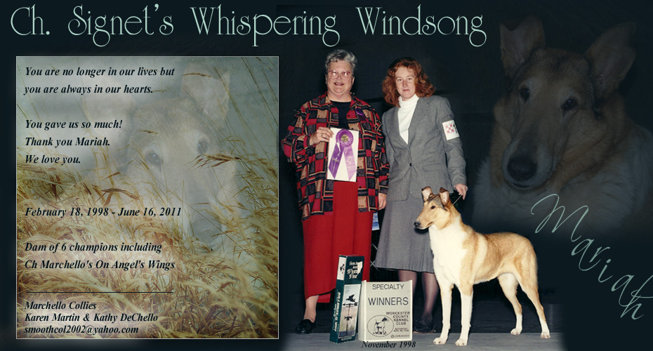 Marchello Collies -- In Loving Memory of CH Signet's Whispering Windsong