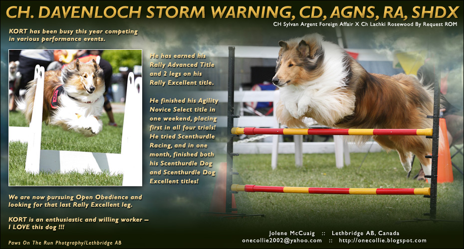 Jolene McCuaig -- CH Davenloch Storm Warning, CD, AGNS, RA, SHDX