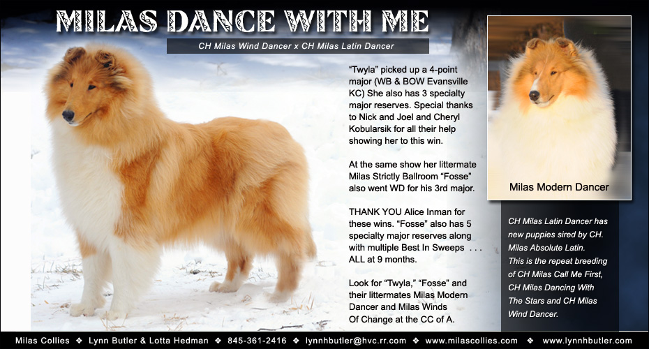 Milas Collies -- Milas Dance With Me and Milas Modern Dancer