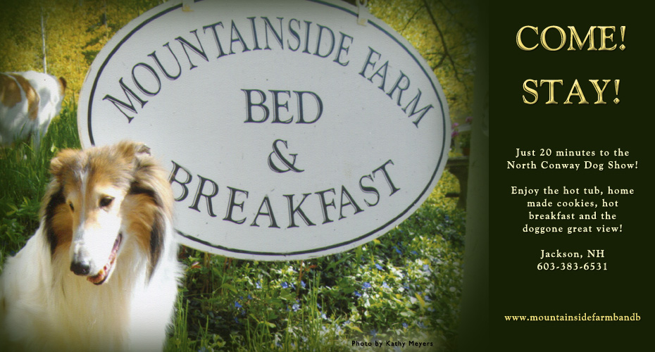 Mountainside Farm Bed And Breakfast