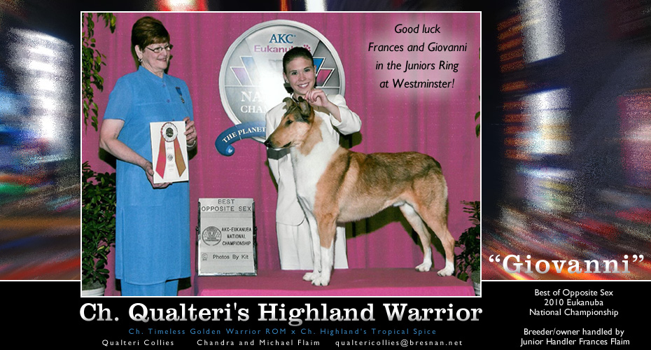 Qualteri Collies -- Frances Flaim and CH Qualteri's Highland Warrior