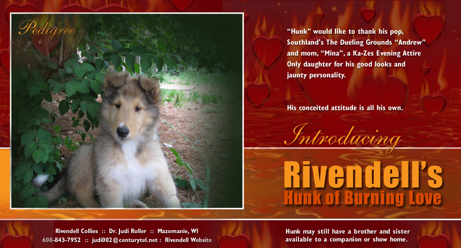 Rivendell Collies -- Rivendell's Hunk Of Burning Love