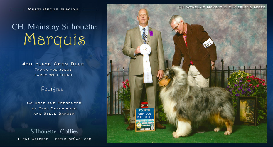 Silhouette Collies -- CH Mainstay Silhouette Marquis