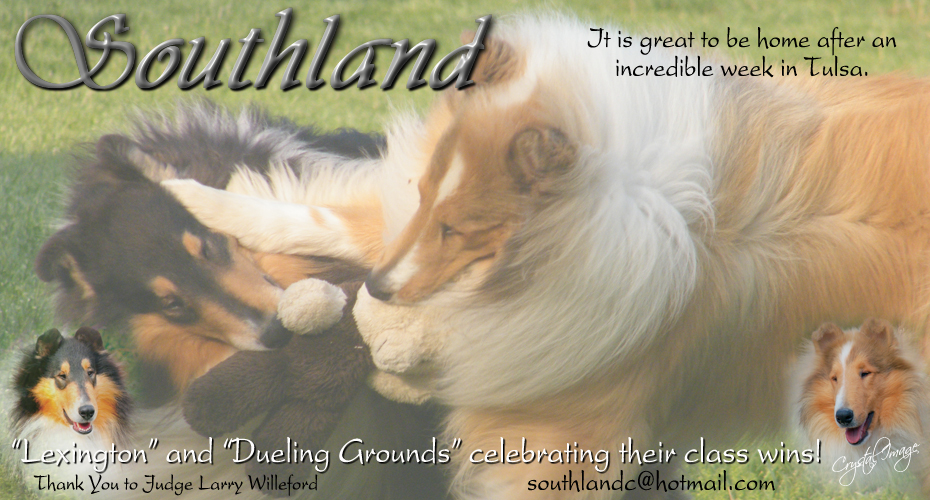 Southland Collies -- Southland's The Dueling Grounds and Southland's Lexington