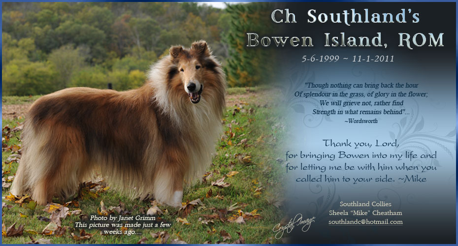 Southland Collies -- In Loving Memory of CH Southland's Bowen Island, ROM