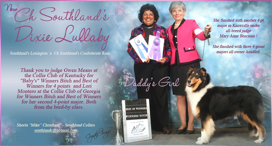 Southland Collies -- CH Southland's Dixie Lullaby