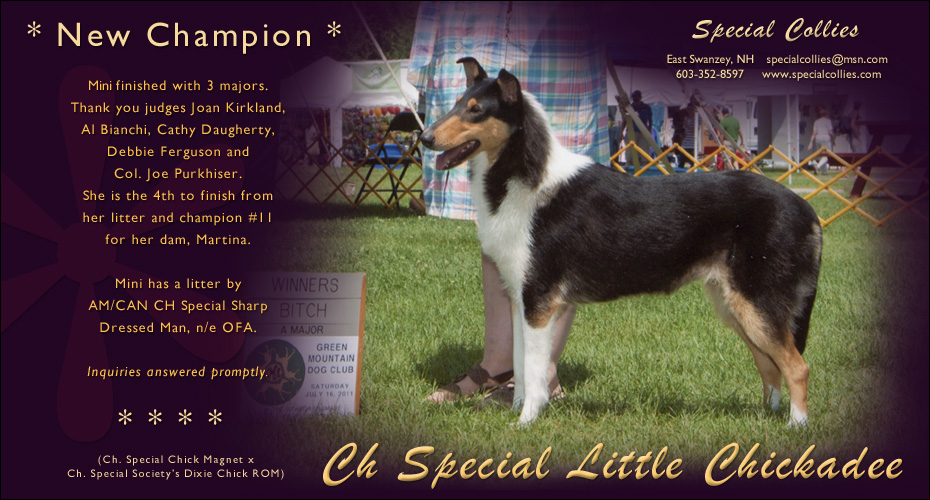 Special Collies -- CH Special Little Chickadee