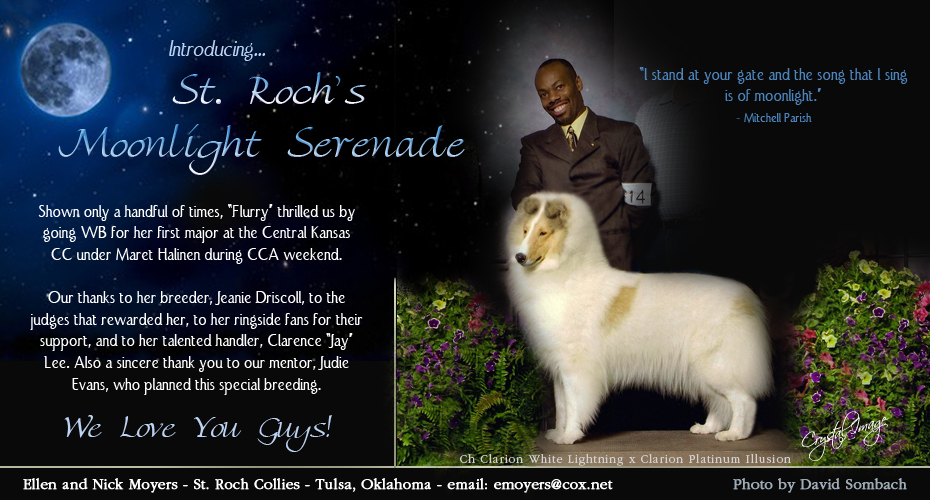 St. Roch Collies -- St. Roch's Moonlight Serenade