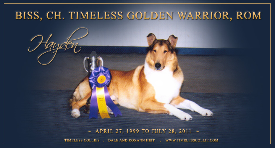 Timeless Collies -- In loving memory of BISS, CH Timeless Golden Warrior, ROM