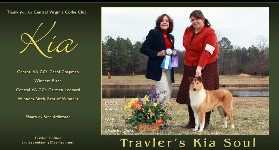 Travler Collies -- Travler's Kia Soul