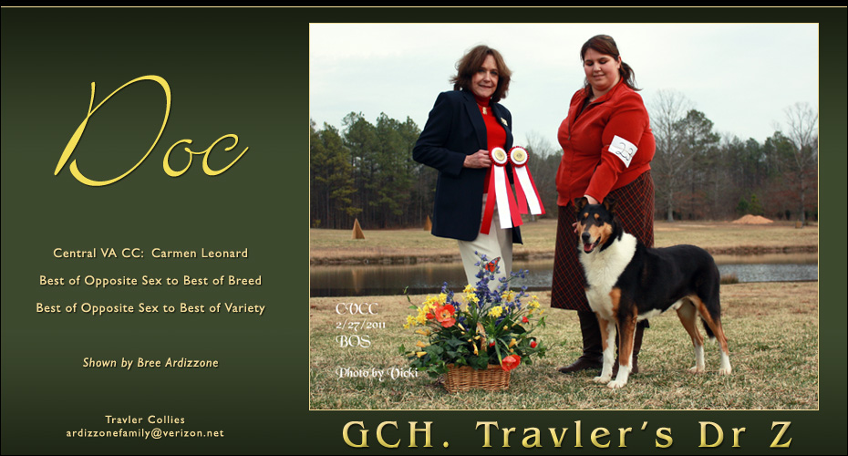 Travler Collies -- GCH Travler's Dr Z