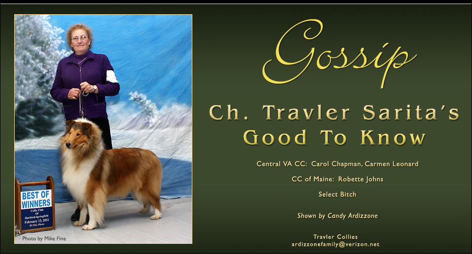 Travler Collies -- CH Travler's Sarita's Good To Know