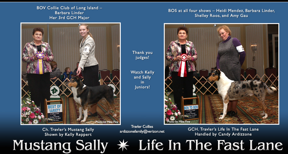 Travler Collies -- CH Travler' Mustang Sally and GCH Travler's Life In The Fast Lane