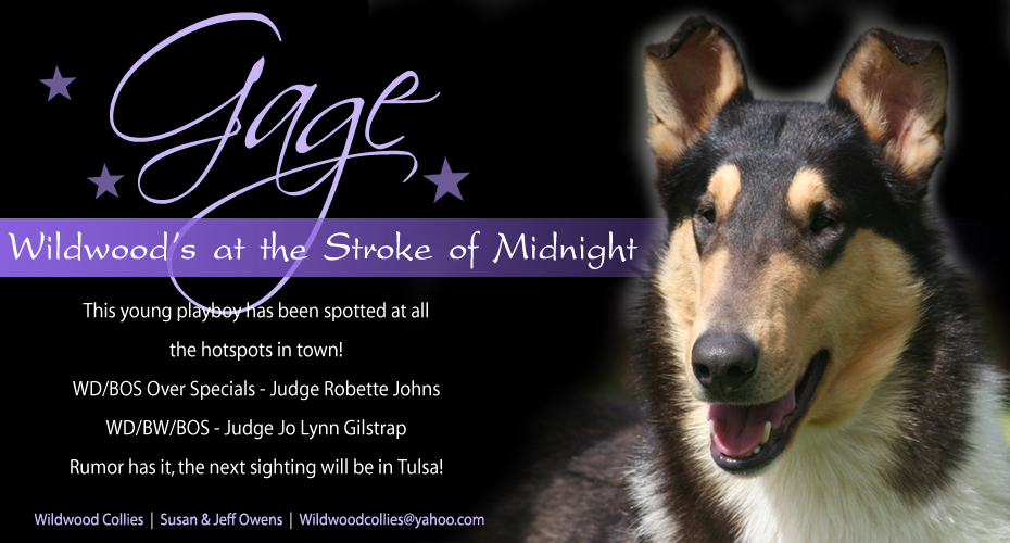 Wildwood Collies - Wildwood's At The Stroke Of Midnight