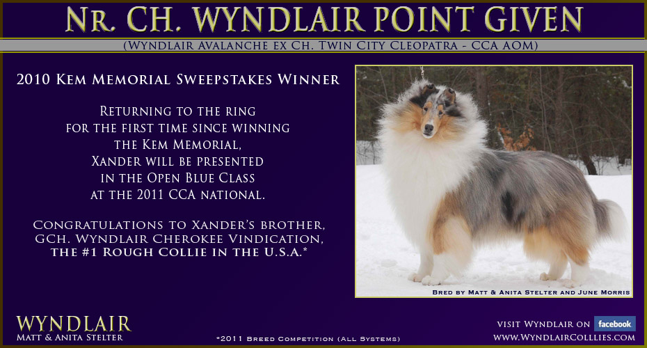 Wyndlair Collies -- Wyndlair Point Given