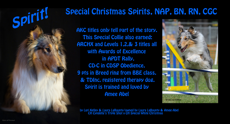 Amee Abel -- Special Christmas Spirits, NAP, BN, RN, CGC