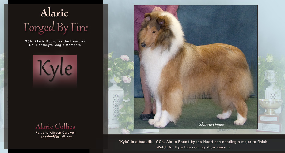 Alaric Collies -- Alaric Forged By Fire