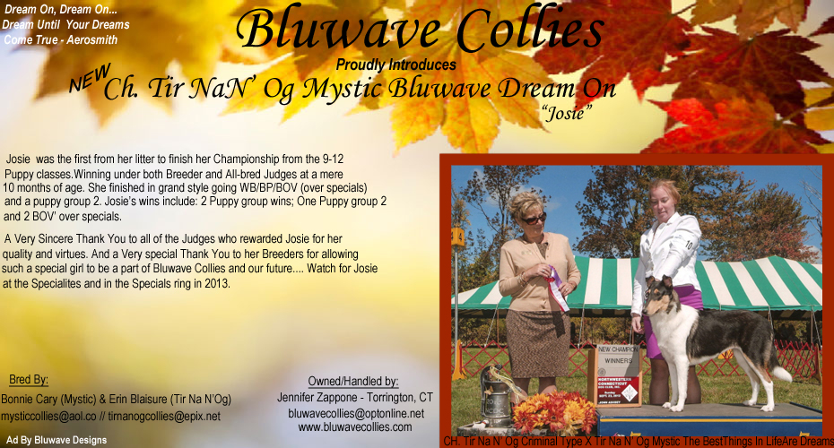Bluwave Collies-- Tir Na N' Og Mystic Bluwave Dream On
