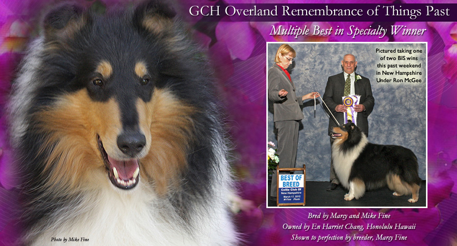 En Harriet Chang -- GCH Overland Remembrance Of Things Past