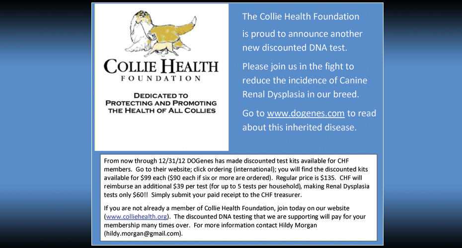 Collie Health Foundation -- Canine Renal Dysplasia
