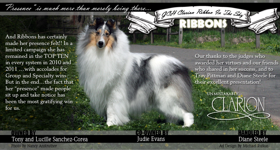 Clarion Collies -- GCH Clarion Ribbon In The Sky