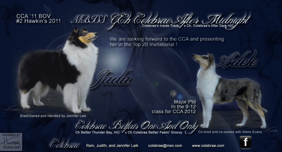 Colebrae Collies -- GCH Colebrae After Midnight and Colebrae Belfair One And Only