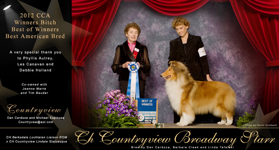 Countryview Collies -- Ch Countryview Broadway Starr