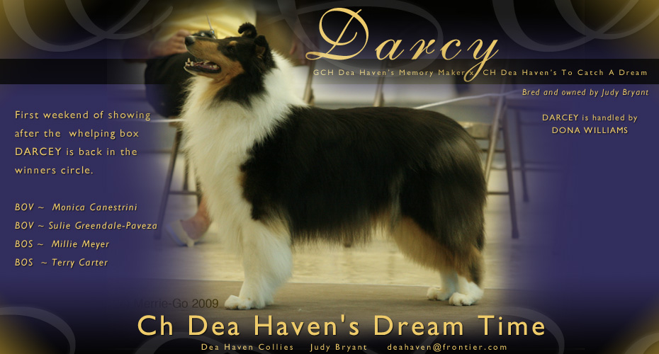 Dea Haven Collies -- CH Dea Haven's Dream Time
