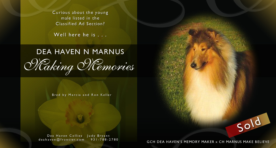 Dea Haven Collies -- Dea Haven N Marnus Making Memories