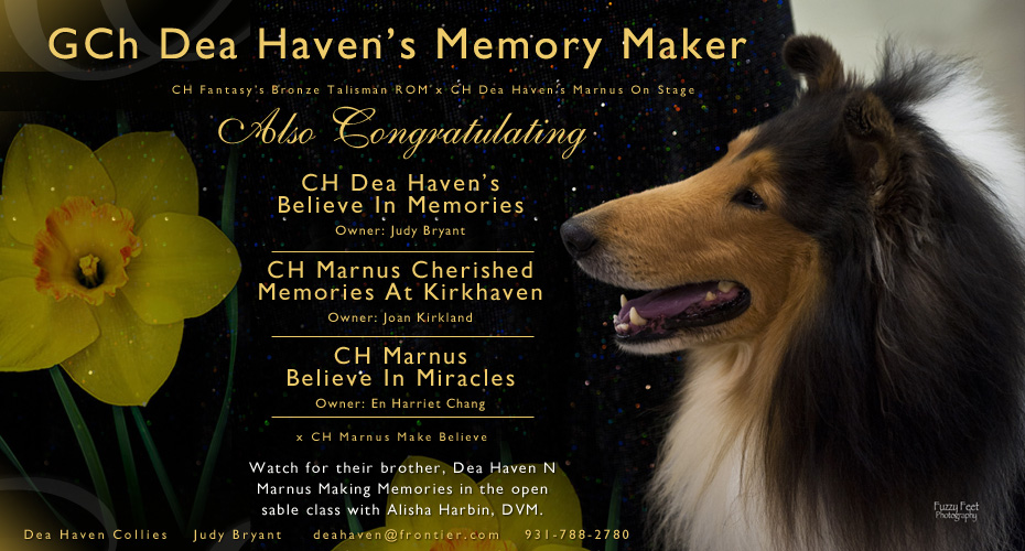 Dea Haven Collies -- GCH Dea Haven's Memory Maker