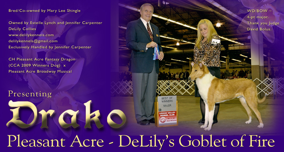 DeLily Collies -- Pleasant Acre-DeLily's Goblet Of Fire
