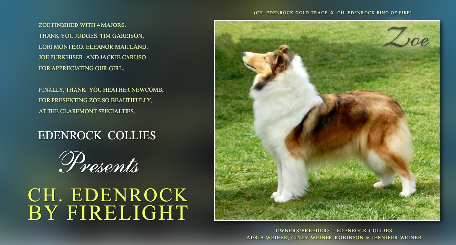 Edenrock Collies -- CH Edenrock By Firelight