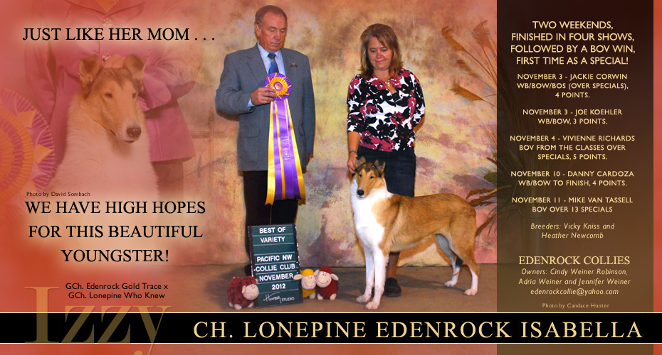 Edenrock Collies -- CH Lonepine Edenrock Isabella