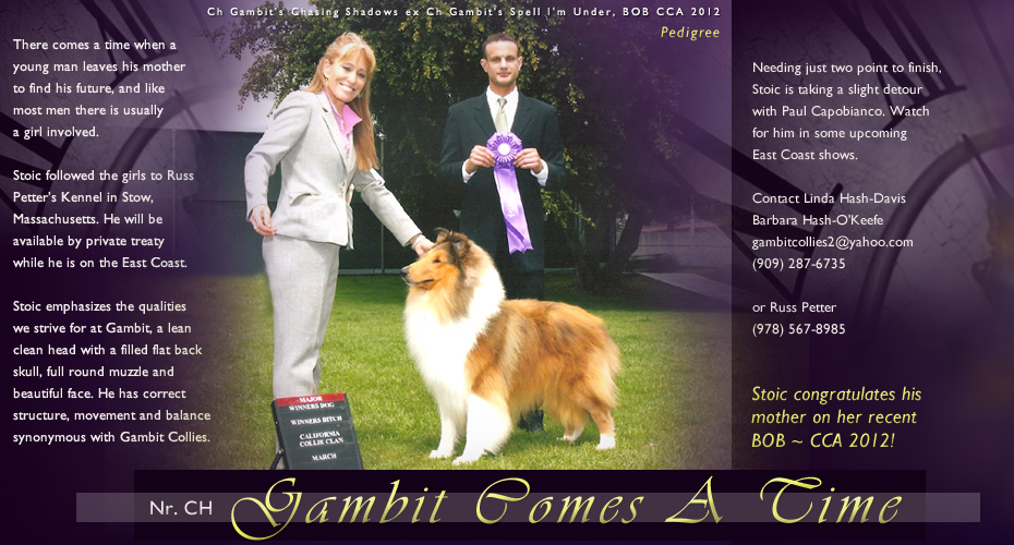 Gambit Collies -- Gambit Comes A Time