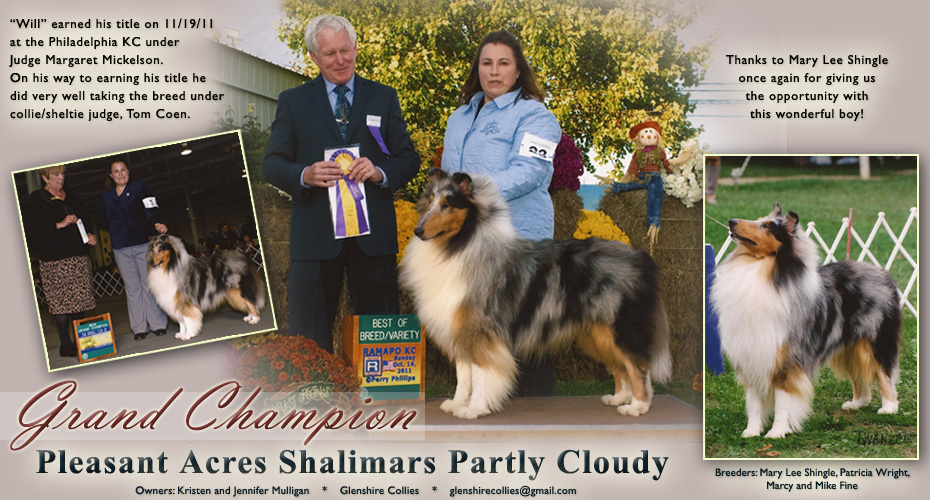 Glenshire Collies -- GCH Pleasant Acres Shalimars Partly Cloudy