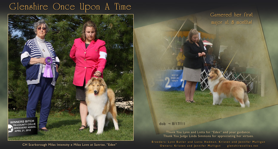 Glenshire Collies -- Glenshire Once Upon A Time