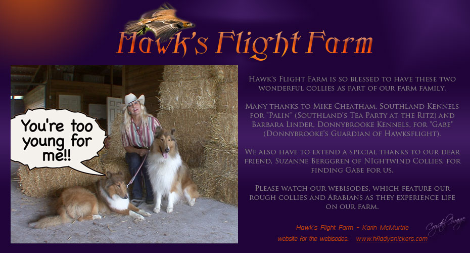 Hawk's Flight Farms -- Southland's Tea Party At The Ritz and Donnybrooke's Guardian Of Hawks Flight