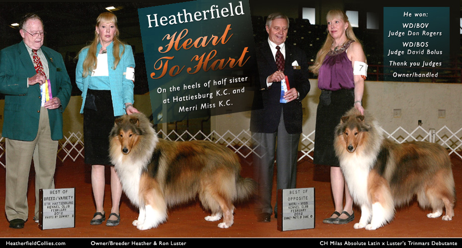 Heatherfield Collies -- Heart To Hart