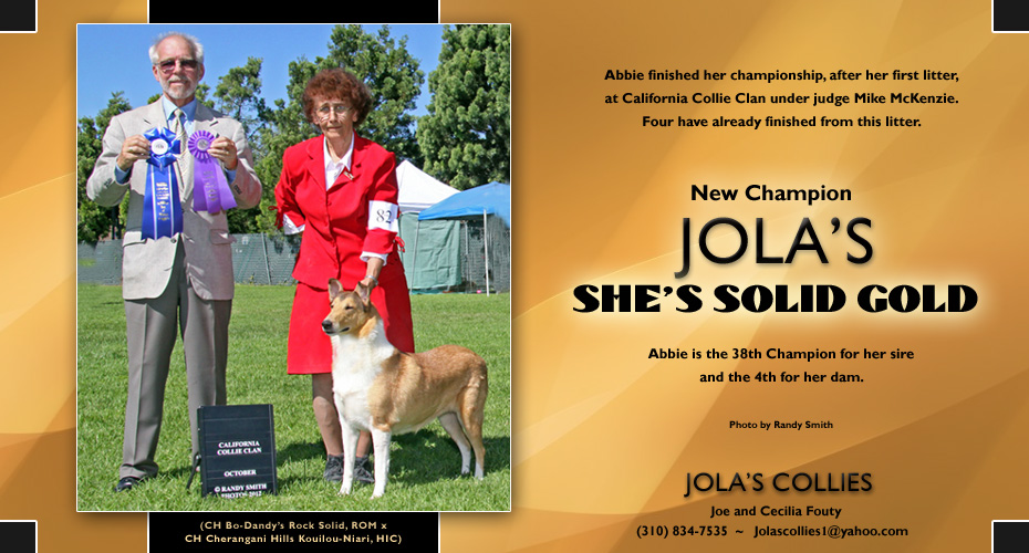 Jola's Collies -- CH Jola's She's Solid Gold